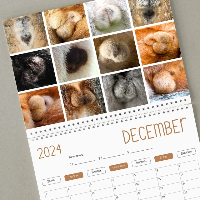 2024 WALL CALENDAR, 2024 Calendar Cat's Bottoms, January 2024 From