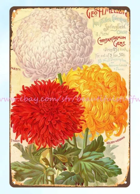 1896 Crisantemos de Condensed catálogo de ofertas especiales en plantas a elección