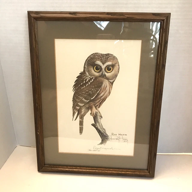 1981 RAY HARM Saw whet Owl Professionally Framed Matted Signed PRINT 13x10 1981 RAY HARM Saw whet Owl Professionally Framed Matted Signed PRINT 13x10