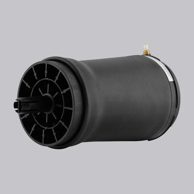 ARRIÈRE SUSPENSION PNEUMATIQUE pour Range Rover Sport L494 20132020 LR044853 EUR 113,53