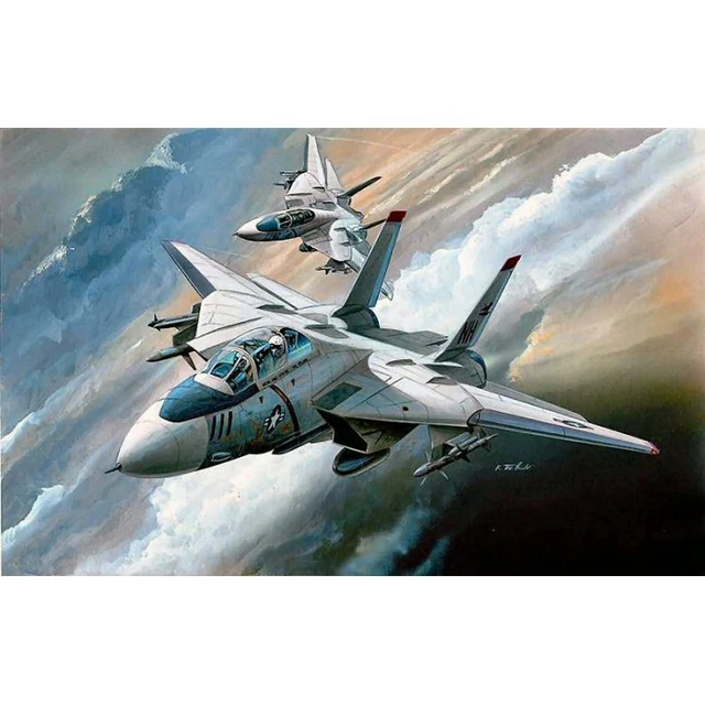ACADEMY 4434 GRUMMAN F14 Tomcat 1/144 Plastic scale model aircraft kit ...
