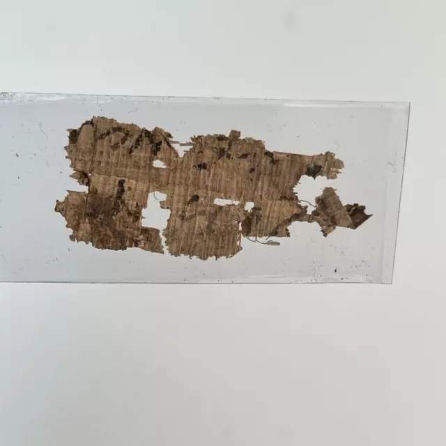 4-7 Century AD Coptic Christian Papyrus Egypt Manuscript Fragment Byzantine A 2