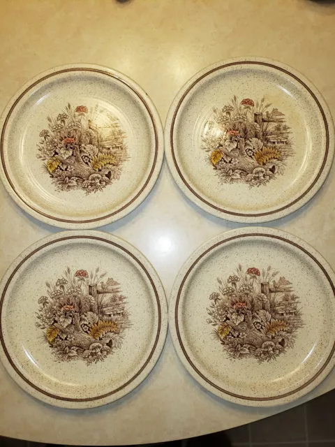 4 - Vintage Homespun Stonecast Churchill Staffordshire Hedgerow Dinner Plates.