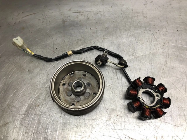 Sym Sym Sym Symphony Sr 125 2010-2016 Motor Generator Stator Magnet Schwungrad