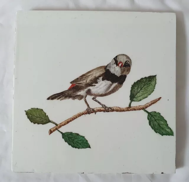 CHARMING MINTON hollins 19TH CENTURY HAND PAINTED BIRD TILE. 6 INCH