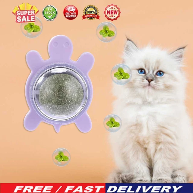 Tortoise Catnip Toys Giratorio Pared Gato Bola Adhesiva Juguete Necesidades Mascotas (Li