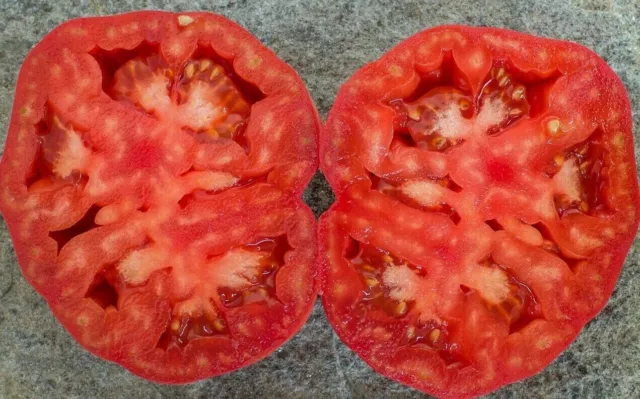 Moruno de Anchuras Tomato - 5+ seeds - Graines - Samen - P 490