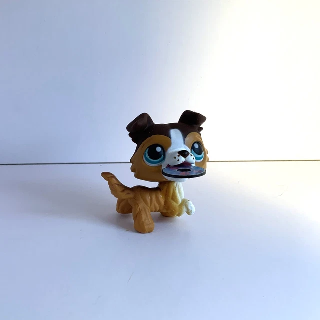 Littlest Pet Shop Collie 1542 TRÈS RARE Chien Algeria