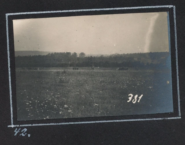Foto auf Pappe - Auffahren Batterie Gegenstoss Argonnen Front Frankreich - 1.WK