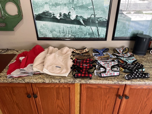 Lote de sudaderas con capucha, arneses, collares y correas ""FRANCESAS"". (tamaños Lg. & XL)
