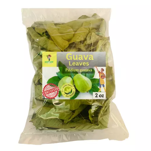 100% Natural Guava leaves Pure & Premium fresh dried Hojas de Guayaba Guayabo