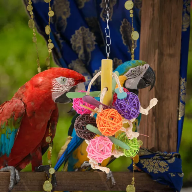Jouet Oiseaux Cage À Jouets De Recherche Nourriture Pour Perroquets