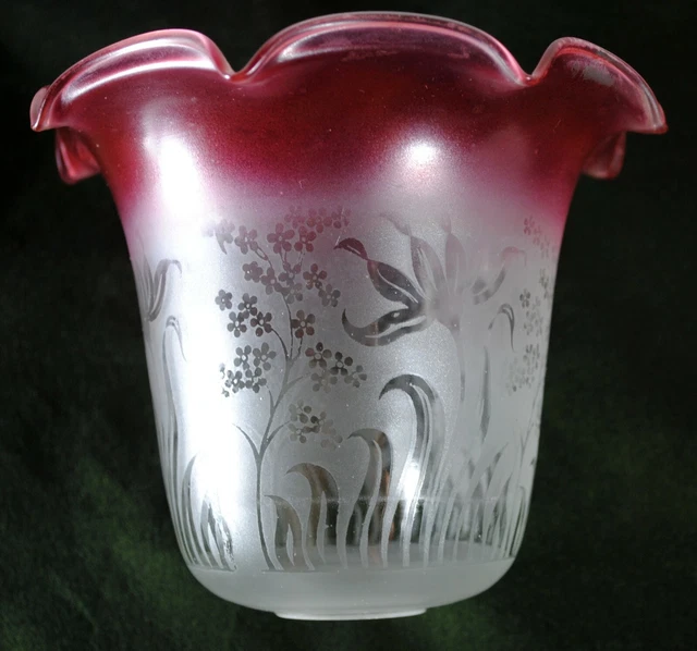 TULIPE ancienne ART NOUVEAU FLORAL dégradé rose XXe