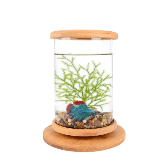 1PCS Mini Glass Bamboo Base Fish Tank Decoration Bowl Ecological Bottle Aquarium 2