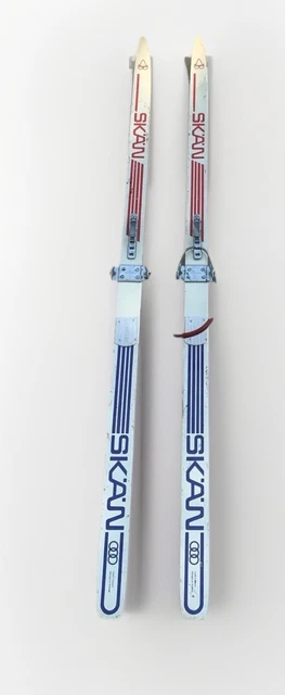 Skis, Skiing, Snowboarding & Snowshoeing, Winter Sports, Sporting