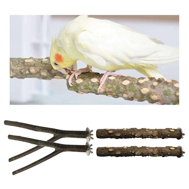 4 teile/satz Naturholz Papagei Vogel Ständer Ast Spielzeug Barsch Klettern