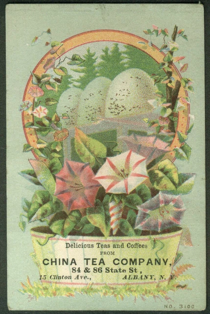 China Tea Company Albany NY trade card 1880s eggs pansies basket