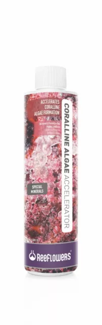 Cobalt Reeflowers Coralline Algae Accelerator (SW Only) 250ml
