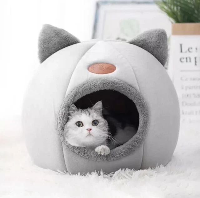Cuccia Gatti Con Cuscino Rimovibile Lettino Comodo Per Gatti Cuccia Gatto