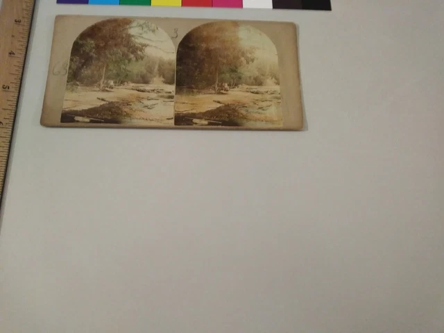 Trenton Falls New York Stereoscopic Co. Color Tinted Stereoview Photo