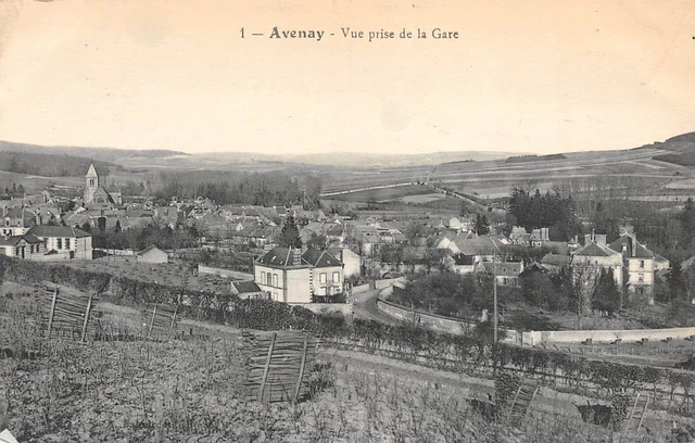51-AVENAY-Vue prise de la Gare-N 6004-C/0029