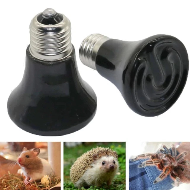 Ampoule émetteur de chaleur garder au chaud pratique 1 pièce remplacement 220V
