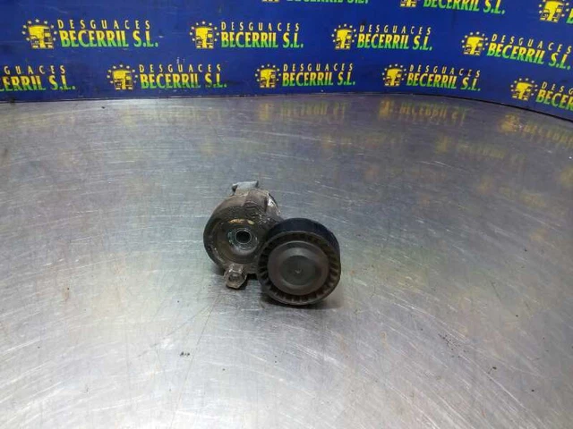 galet tendeur pour RENAULT MEGANE II 1.5 DCI 2002 1072224