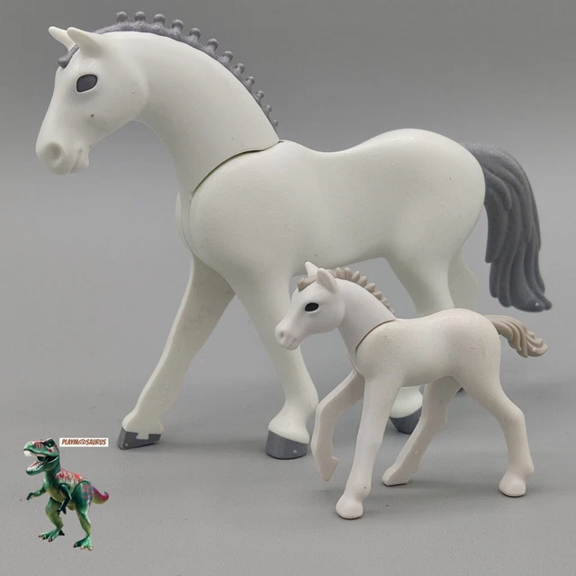 Carte bon cadeau cours d'équitation | Carte à imprimer