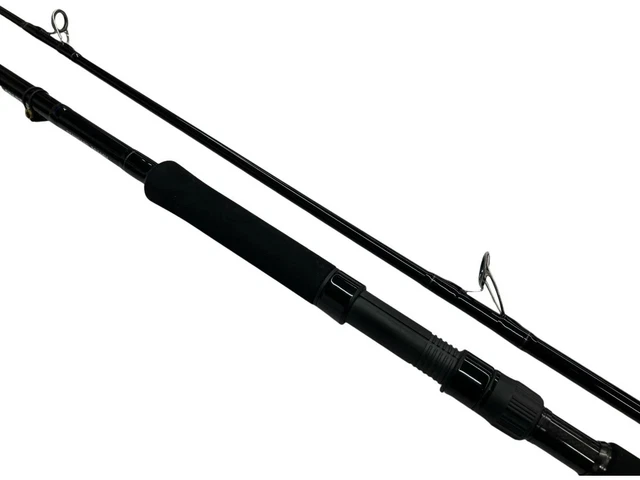 ロッド SHORE SPARTAN BREAKTHROUGH 83XXXH-3 DAIWA SHORE SPARTAN Breakthrough 83XXXH Saltwater Rod Used