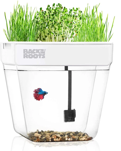 Desktop Table Self Cleaning Fish Tank Grows Food and Plants Aquarium Farm Feed