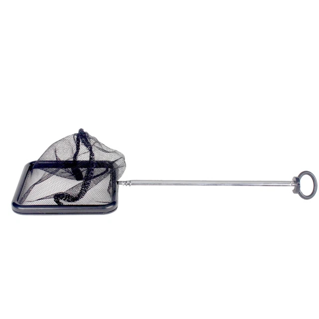 Rete da pesca per pesci, Rete da pesca pieghevole portatile Esca da pesca Rete da pesca pieghevole Rete da pesca Cast Gamberetti mobili Esca trappola Accessorio per gabbia di pesce(6 corner