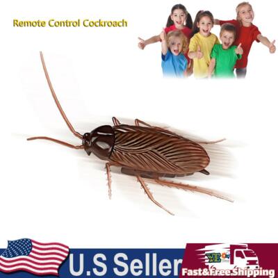 realistic fake remote control cockroach