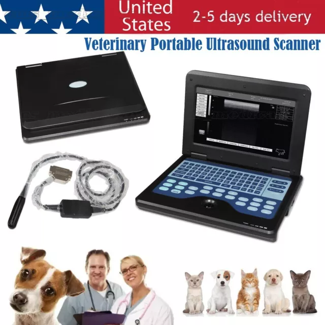 Veterinary Bovine & equine Ultrasound Scanner Horse laptop Machine Rectal Probe