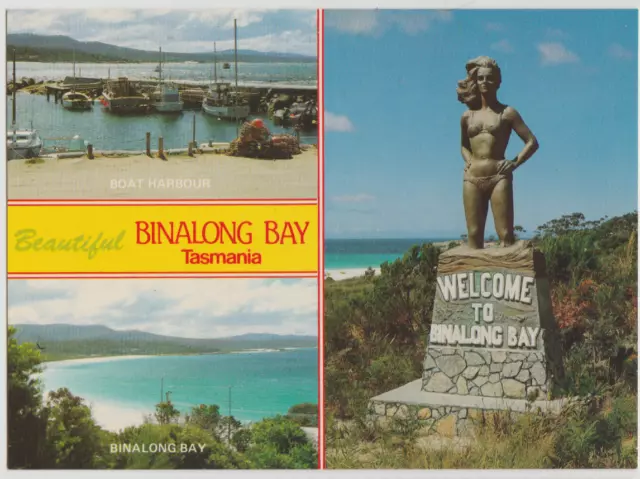 Australia TASMANIA TAS multiviews BINALONG BAY Colour Tech DS196H postcard 1980s