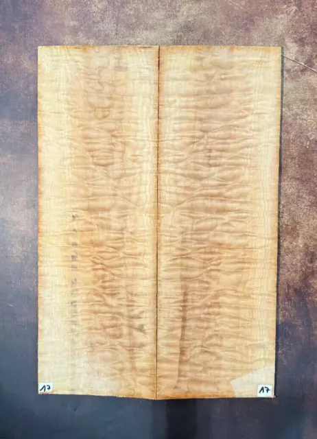 Muschelahorn Droptop 4A |  Quilted Maple Droptop 4A | Tonholz | Tonewood | #17