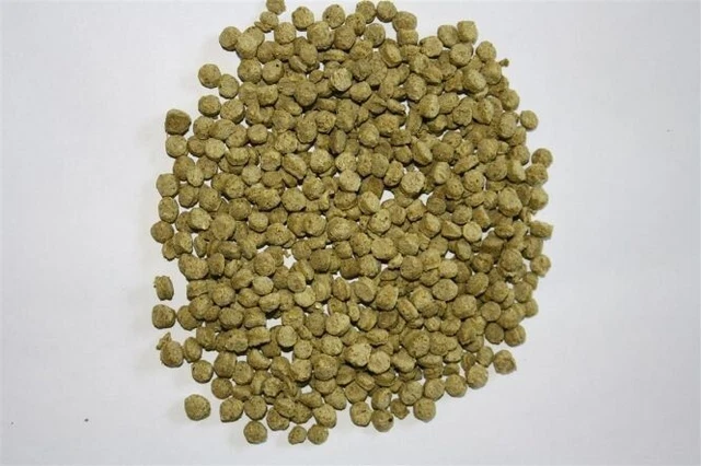 Mix Semi Per Tartarughe Di Terra ZOMA - 6 Erbe Con Tarassaco, Busta 15gr - Foto 6