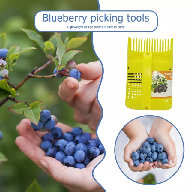 Fruit Picker Portable Berry Picker Handle Blueberry Collection Harvester UK 2