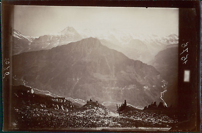 Braun Tirage albuminé A.D Schynige Platte vintage albumen print Suisse 