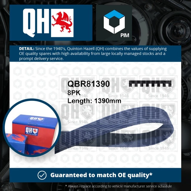 Cintura di trasmissione multi V 8 costole adatta a BMW X3 F25 3.0 10 a 17 N55B30A qualità QH nuova