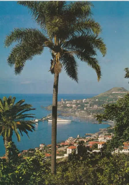 Funchal Madeira Portugal Postcard used VGC
