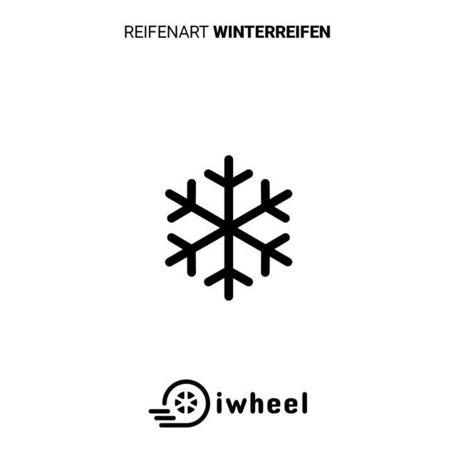 Winterreifen Minerva Frostrack Hp 215 70 R 15 98 T 2