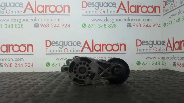 369368 Tendeur De Courroie Auxiliaire Pour Audi A3 (8P) | 03G903315