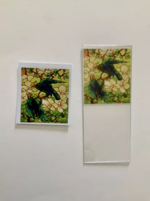 Blue Parrots Dollhouse Miniature Victorian  Stained Glass Window Film