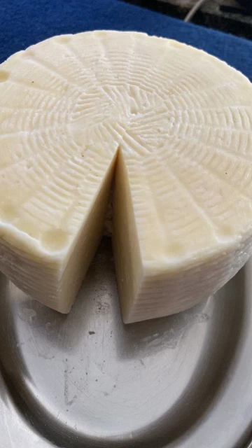 Formaggio fresco primo sale pecorino morbido gusto unico aperitivo primi piatti