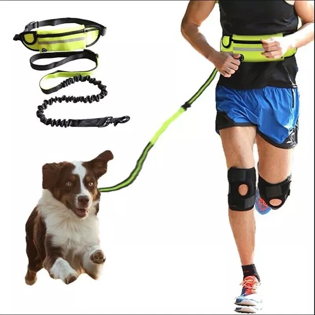 Laufleine Hundeleine Joggingleine Walkingleine Wanderleine mit Bauchgurt