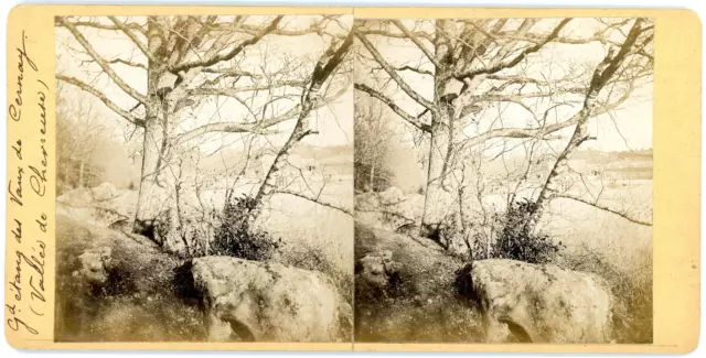 Stereo, France, grand étang des Vaux de Cernay, vallée de Chevreuse Vintage ster