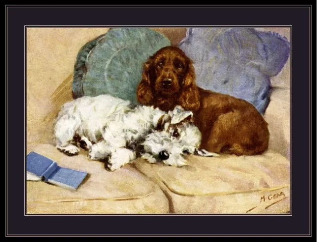 Print Cocker Spaniel Sealyham Terrier Dog Dogs Puppy Puppies Art Poster Picture