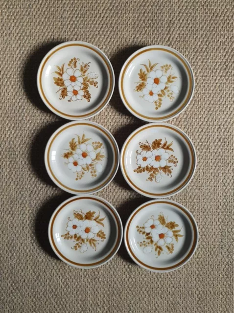 6 Vintage 80s Bread & Butter Plates Stoneware Japan Mountain Wood Dried Flowers