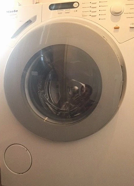 2x Kohlebürsten Für Miele Waschmaschinen - 5x15mm Mit Automatik-Abschaltung