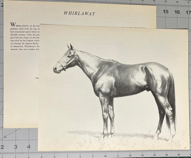 Whirlaway C W Anderson Vintage Race Horse Print From The Smashers See Photos